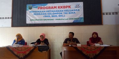 Program KKBPK. Pembinaan Ketahanan Keluarga Berbasis Kelompok Tri Bina ( BKB, BKR, BKL )